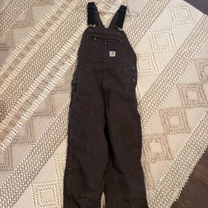 Carhartt MEN'S INSULATED BIB OVERALL